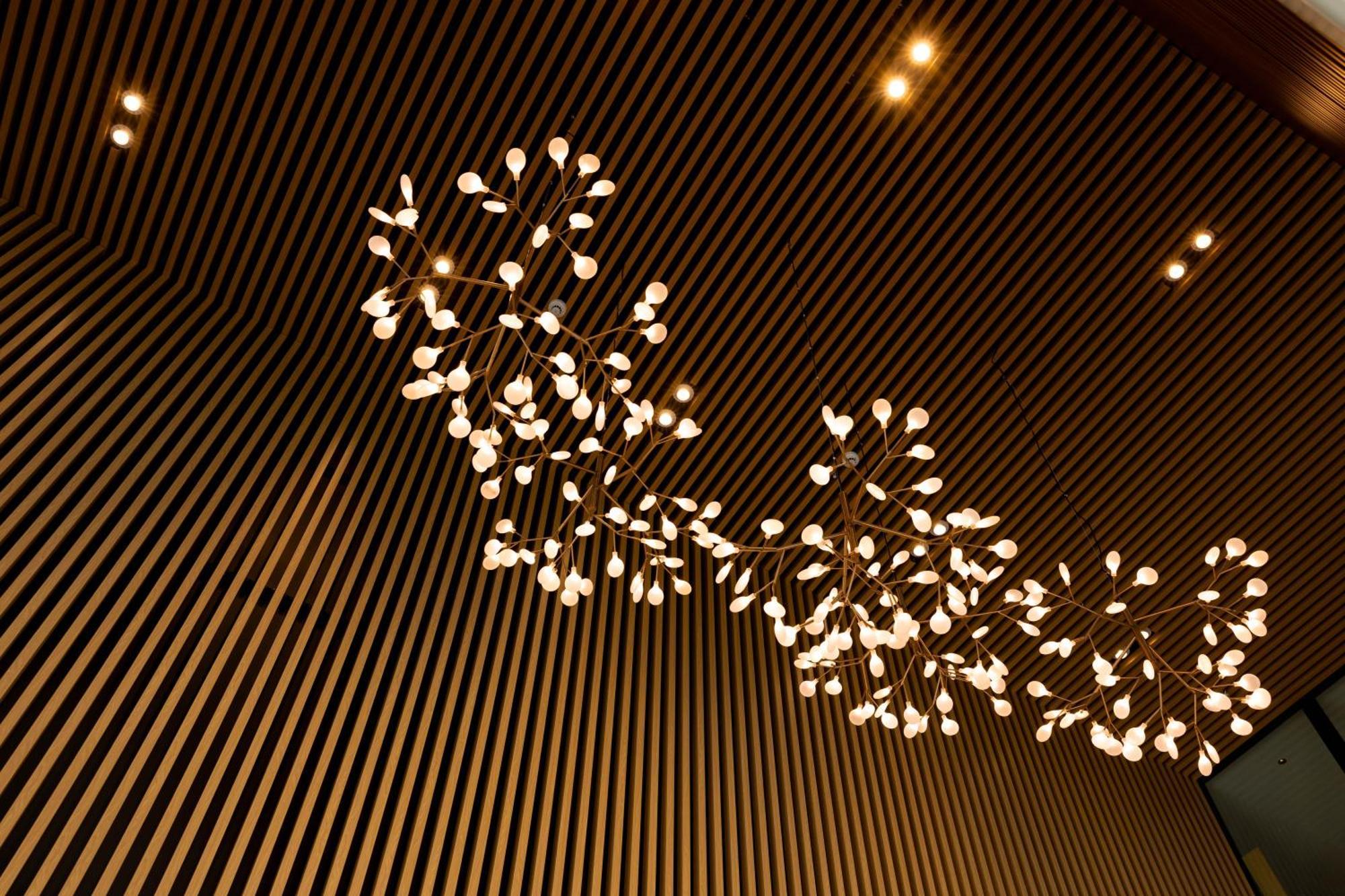 Maxim Hotel - Auckland Extérieur photo